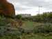  jardin paysager